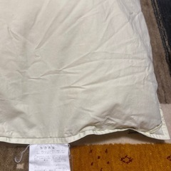 【売約済】ダウン掛け布団の画像