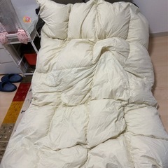 【売約済】ダウン掛け布団の画像
