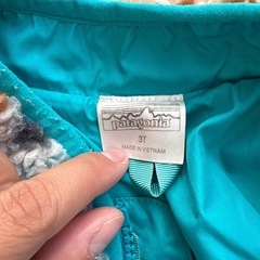 Patagonia 100 ボアフリースジャケットの画像