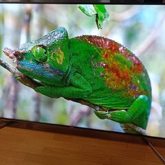 無料配送 美品 2019年 SONYBRAVIA 75V型 KJ-75X9500G 4K HDR10 Youtube NETFLIX 多機能音声リモコンの画像