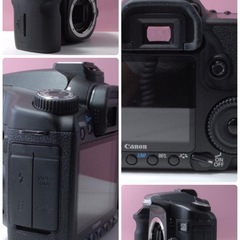 ✨ショット数9017の美品✨Canon 40D 望遠レンズセットの画像