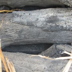 お引取り限定！！　クヌギ　俵入り　15ｋｇ　（黒炭）　15,400円→11,000円の画像