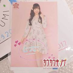 モーニング娘。 佐々木莉佳子/井上玲音/譜久村聖 2L版 写真 ひなフェス 2017/ おまけ チラシ/号外/袋 ハロプロの画像