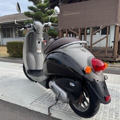 早い者勝ち！ 可愛くて人気なスクーピー！配達可能！！の画像