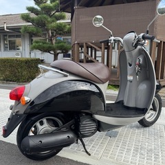 早い者勝ち！ 可愛くて人気なスクーピー！配達可能！！の画像