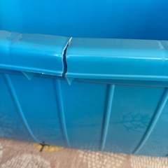 ジャンボタライの画像