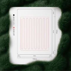 新品【シングル】電気毛布 ひざ掛け ブランケット 丸洗いの画像