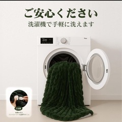 新品【シングル】電気毛布 ひざ掛け ブランケット 丸洗いの画像
