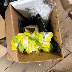 貰って下さいの画像