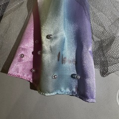 11  リカちゃんの服　レインボーホリデーの画像