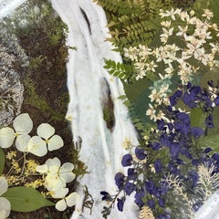 額縁入り押し花の画像