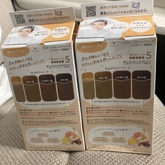 ◆Palty◆未開封未使用品◆パルティー DARIYA ダリヤ ヘアカラー2個セット 乳カラー剤 乳液 
毛染め 癒されベージュ の画像