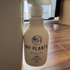 アレカヤシ　引き取ってくれる方の画像