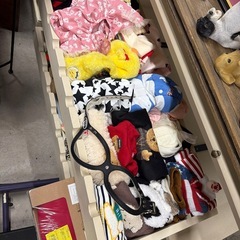 ペット用　ハシゴの画像