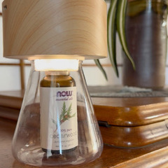 【さいたま市大宮】11/25㈫ 12/9㈫アロマヨガ｜シニア・初心者さんにおすすめの少人数制ヨガ｜丁寧に無理のない動きで体のめぐりを整えますの画像