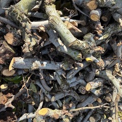 新NO11  梨の枝や端節   500Kg程度 福島市引取り限定の画像