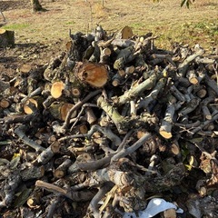 新NO11  梨の枝や端節   500Kg程度 福島市引取り限定の画像