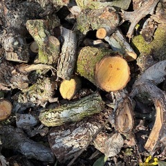 新NO11  梨の枝や端節   500Kg程度 福島市引取り限定の画像