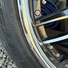 AMEモデラート 20インチ(夏)の画像