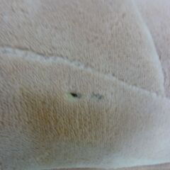 ④未使用/新品　訳あり現状特価　一人掛け 3way リクライニング 座椅子 42段ギア ニュアンスカラー ハイバック ソファベッド カウチソファ 折り畳み　の画像