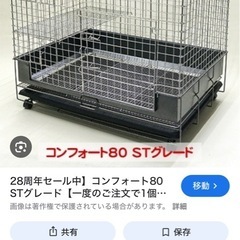 [コンフォート80]ゲージ・あげます。の画像