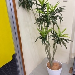室内用観葉植物（フェイク、本物ではない）とデスク（ニトリ、未開封）セットでの画像