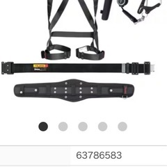 タジマ　フルハーネスセットの画像