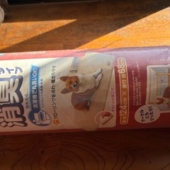 新品未使用 ペットカーペットの画像