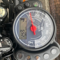 【美品】Kawasaki W175 車体の画像