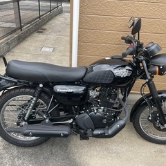 【美品】Kawasaki W175 車体の画像