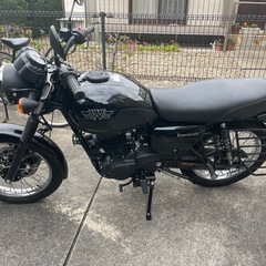 【美品】Kawasaki W175 車体の画像