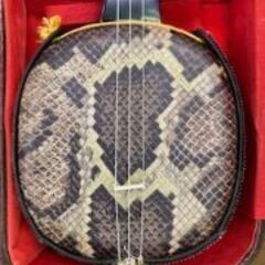 ID:701281　三線（人工）　ケース付きの画像