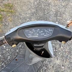 ホンダライブディオAF34の画像