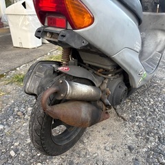 ホンダライブディオAF34の画像