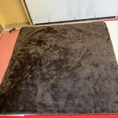 【お持ち帰り限定】☆寒い時期におすすめ！ホットカーペット（ラグ付き）（2畳用）商品番号:228の画像