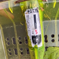 外れたスコップ/雪かき用の画像