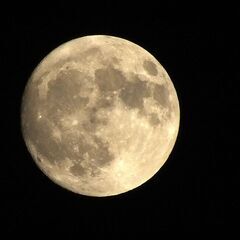 プロも称賛し使用する凄いカメラです。Finepix HS30 30倍ズーム（24~720mm)デジタル併用で60倍超解像ズームもOKの画像