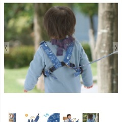 チェアベルトの画像