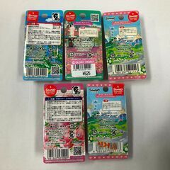 【ジャングルジャングル石津店】ご当地ハローキティファスナーマスコット　中部5個セット　可愛い　珍しい　コレクション　堺市 堺区 西区 石津の画像