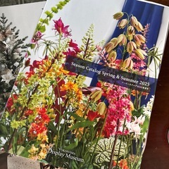 フラワー関連の本　カタログ14冊セットの画像