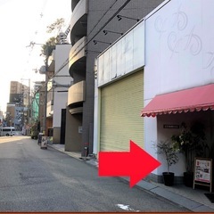 はじめてのフラメンコ入門クラス(2026年1月10日スタート)の画像