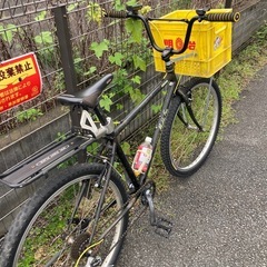 ARAYA muddy fox old mtb ミルククレート カスタムの画像