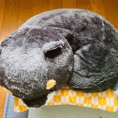 ♡豆柴　座布団付き　BIGぬいぐるみ♡の画像