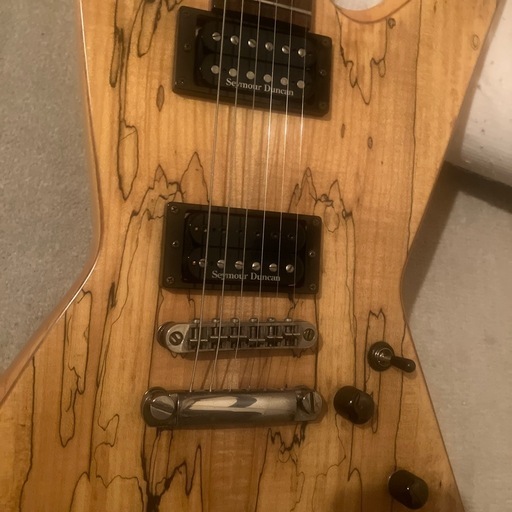 ESP LTDエクスプローラタイプ改