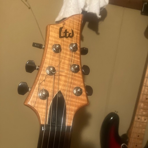 ESP LTDエクスプローラタイプ改