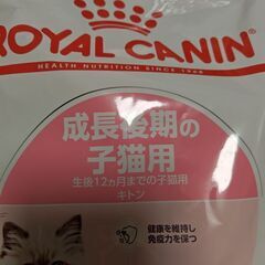 ロイヤルカナン　キトン　仔猫用　2.4Kg　猫　エサの画像