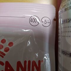 ロイヤルカナン　キトン　仔猫用　2.4Kg　猫　エサの画像