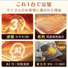 【新品】電気足温器 フットウォーマー 9段階温度 4段階タイマー 電気マットの画像