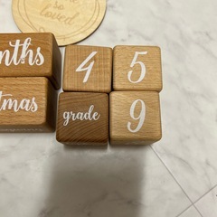 マンスリーフォト　月例フォト　ブロック　の画像