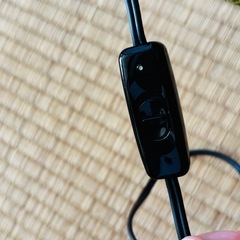 籐 ラタン 間接照明 の画像